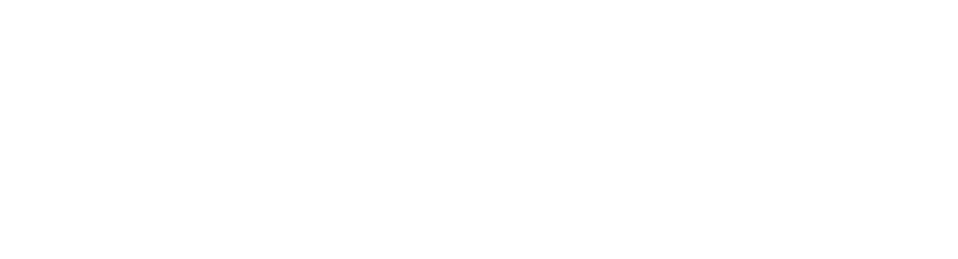 XALISCO GRILL AND BAR 